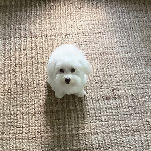 Meet your Posher, Catherine